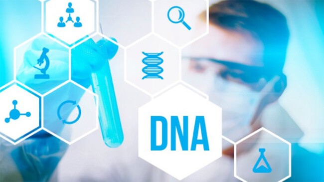 Kỹ Thuật Tách Chiết DNA Trong Phòng Thí Nghiệm Chi Tiết